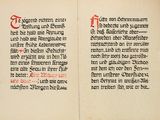 deux pages d'un livre sur lesquelles figurent des inscriptions en rouge