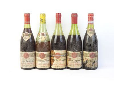 six bouteilles de vin sont alignées sur une surface blanche