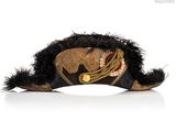 an image of a hat with feathers on a white background