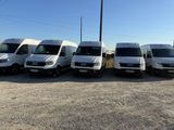 Plusieurs fourgonnettes blanches sont garées en rangée sur un parking