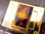 louis vuitton bag in gold and tortoise