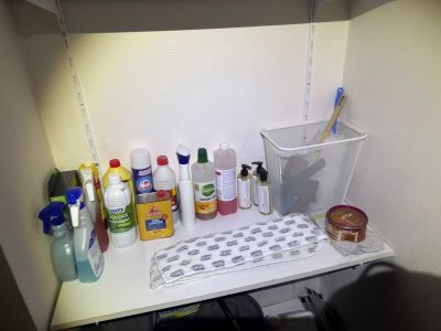 a shelf that has a lot of cleaning products on it