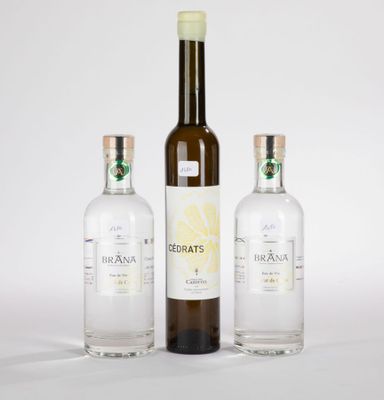 trois bouteilles de vodka et une bouteille de vodka sur fond blanc