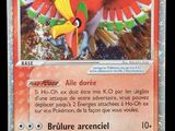 le verso d'une carte sur laquelle figure l'image d'un oiseau en plein vol