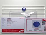 une photo d'une carte d'identité à laquelle est attaché un anneau bleu