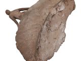 a large piece of clay that is sitting on a white surface