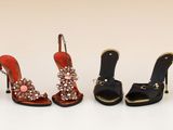 several pairs of women ' s shoes are lined up in a row