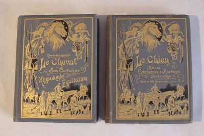 deux livres ornés de dorures, posés sur une surface blanche