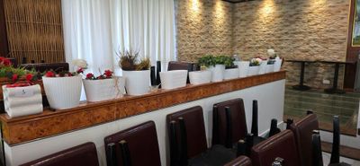 UN Ensemble DE 12 Pots A Fleurs Diverses Formes ET Tailles, …