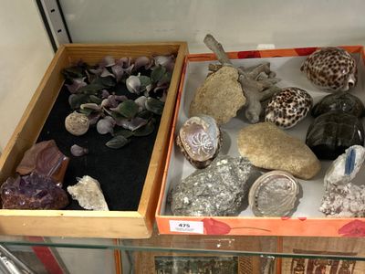 de nombreux types de roches exposés dans une vitrine
