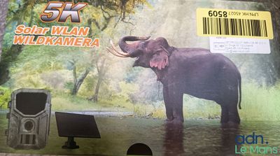a picture of an elephant that is in a box