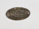 a small oval metal object on a white surface