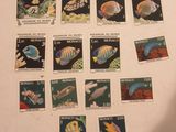 a picture of a collection of stamps with fish on them