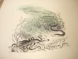 a picture of a drawing of an octopus in the water