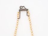 pearl and gold necklace on a white background