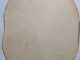 a white plate that has some food on it