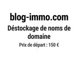 Photo 1/1 du lot