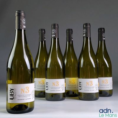 six bouteilles de vin sont alignées sur une table