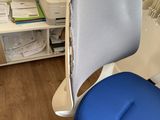 a blue office chair with a white back and a blue seat