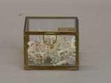 a glass box with shells inside of it on a table