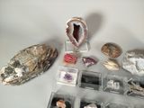 many different types of rocks and stones on the table