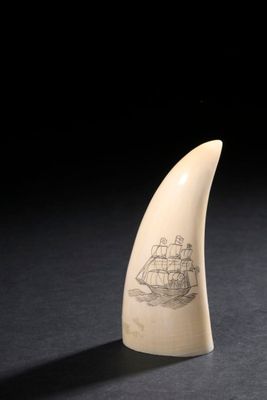 une dent de baleine en ivoire sur laquelle est gravé un dessin représentant un navire