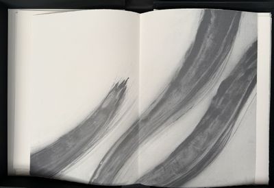 Objet d'art & Curiosités - Évaluation et Analyse du Lot Invendu