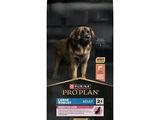 proplan adult large breed dog food