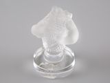 un vase en verre surmonté d'une fleur blanche