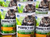 de nombreux sacs de nourriture pour chat posés sur une étagère