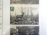 a book with pictures of animals and people in the woods