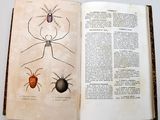 an open book with a drawing of a spider and a bug on it