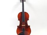 a close up of a violin on a white background