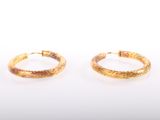 a pair of gold hoop earrings