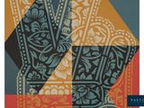 the cover of a book with a picture of a pattern on it