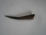 a piece of wood that has been placed on a table