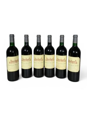 six bouteilles de vin sont alignées sur une surface blanche
