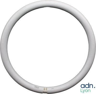 Lot de 8 néons leds circulaire - FILLDAY - 1500Lumen - Neuf …