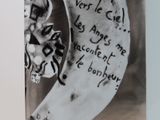 Photo 7/9 du lot