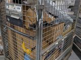 a metal cage filled with lots of boxes in a store