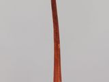 a close up of a wooden object on a clear surface