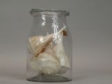 a glass jar with some shells inside of it