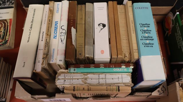 Lot de livres de Colette et sur Colette.