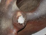 a close up of a vase with a hole in it
