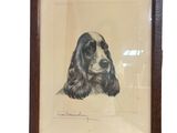 framed drawing of a cocker dog in a wood frame