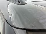a close up of a car ' s hood with a bird on top of it