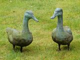 deux statues de canards debout côte à côte dans l'herbe