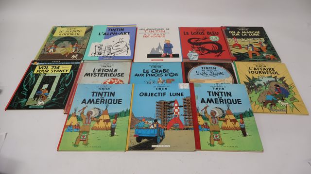 TINTIN – Lot de 15 albums de bande-dessinée, CASTERMA3