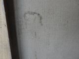 une photo d'un chat assis par terre