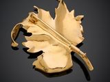 an image of a gold leaf broochle on a black background